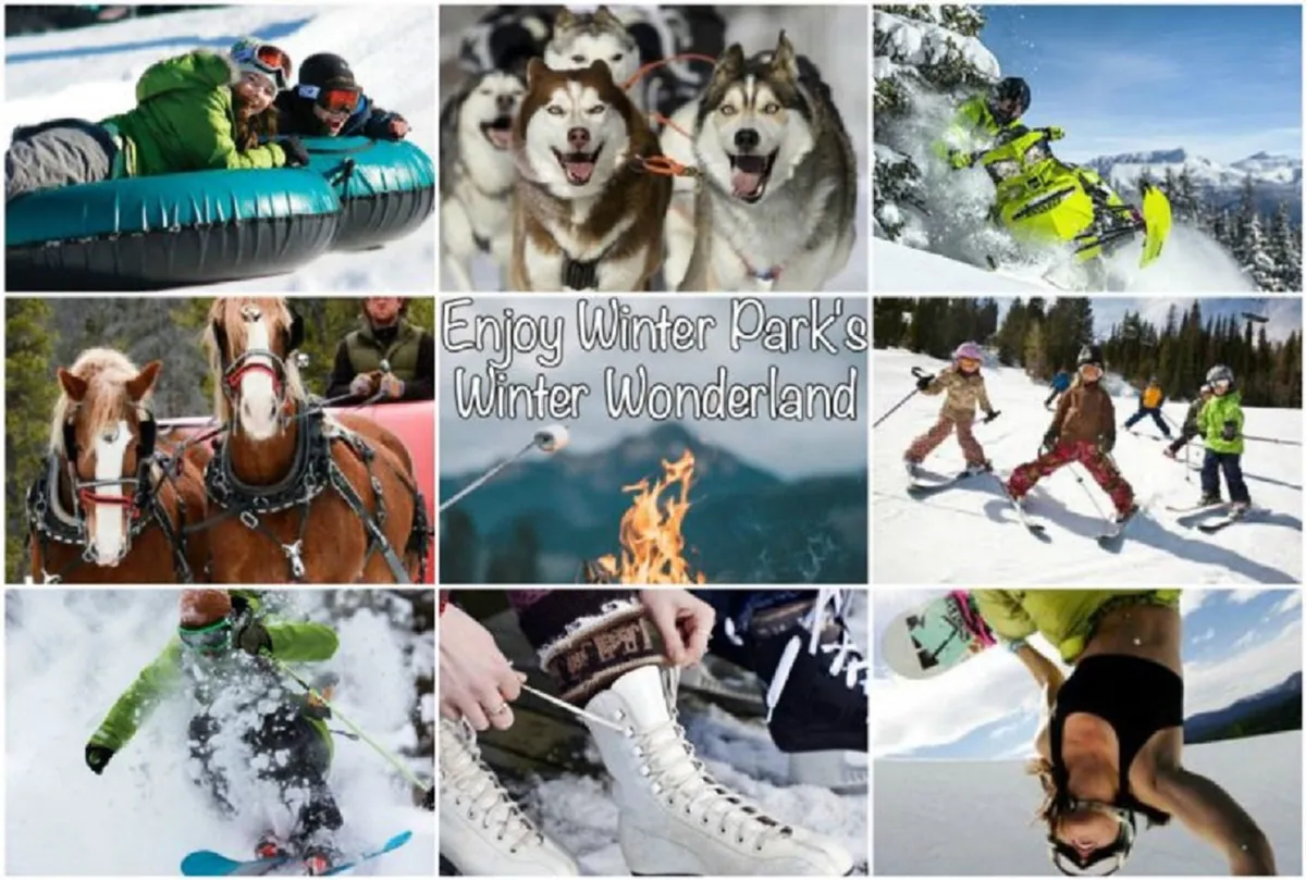This dynamic outdoor scene captures families and friends engaging in a variety of winter activities, including snow tubing, dog sledding, snowmobiling, and skiing. Children and adults alike are shown laughing and enjoying the snow, while a nearby fire pit invites après-ski relaxation. The presence of Siberian Huskies and snowboards adds to the adventure-filled atmosphere.